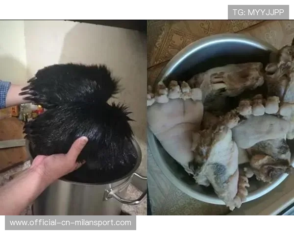 黑熊闹市伤人,俄罗斯小男孩机智脱险,俄罗斯男子把熊打成重伤 黑熊闹市伤人,俄罗斯小男孩机智脱险,俄罗斯男子把熊打成重伤