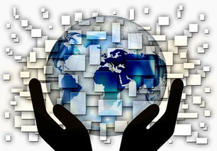 米兰网页版-中国篮球教练员战术创新与应用案例分析，篮球教练基本战术